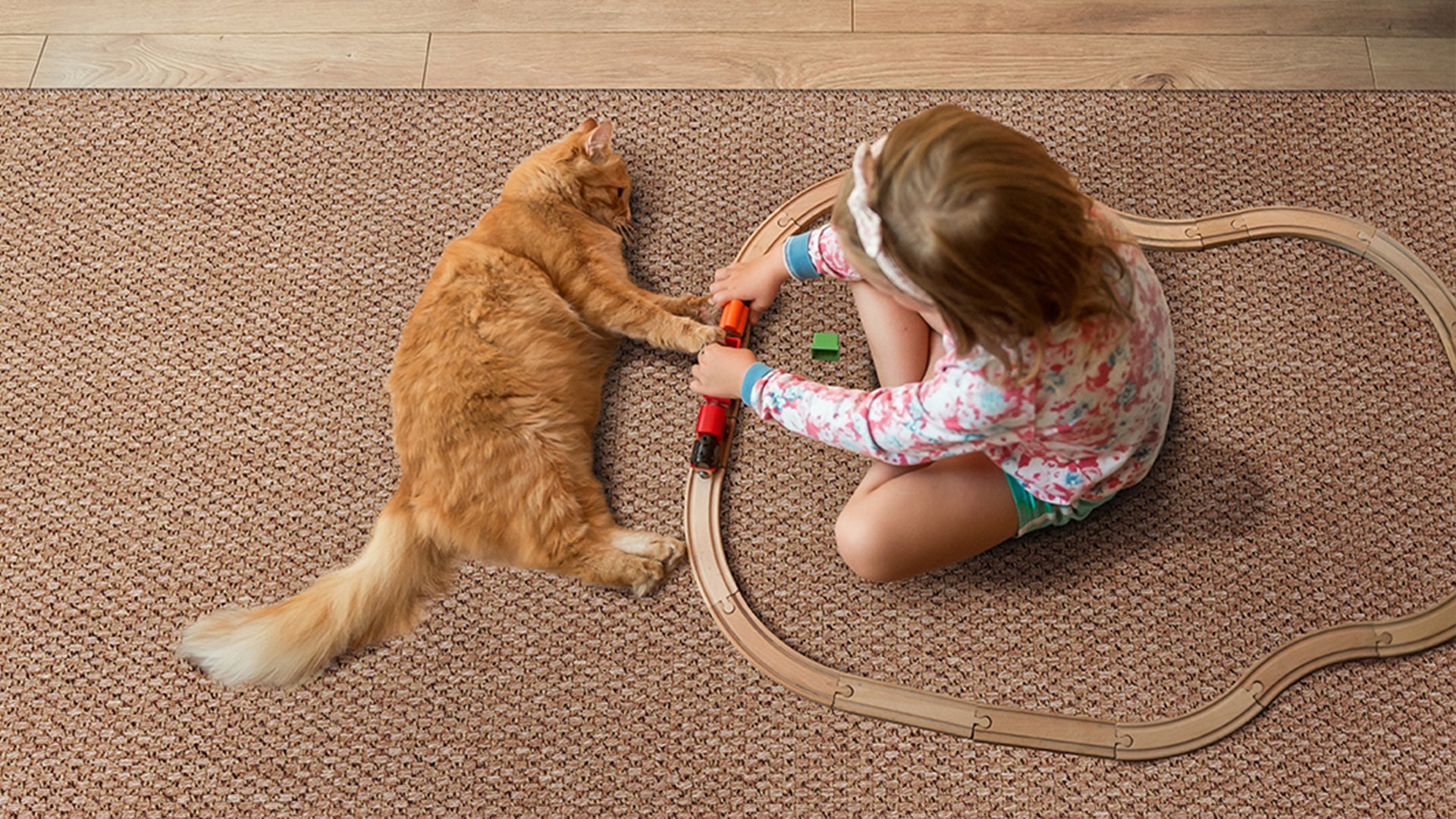 Rug Care Tips for Peaceful Living with Your Pets – juterugs.us